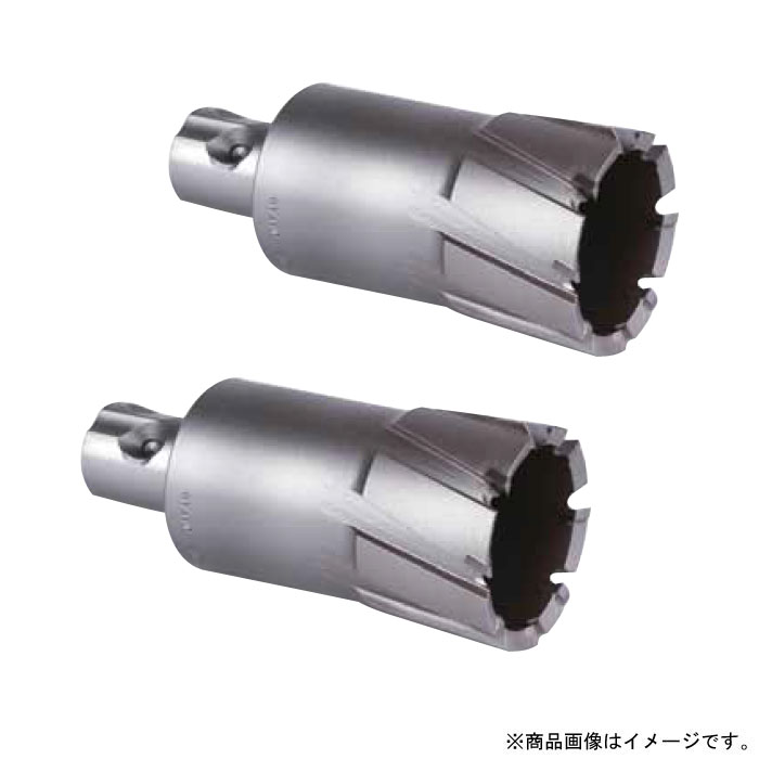 メタルボーラー500A カッター 2枚刃 21mm 取寄品 - 大工道具・金物の