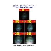 ペリカン 防水・ダイビングリコイルLEDライト「ニモ 2010」 青の3枚目