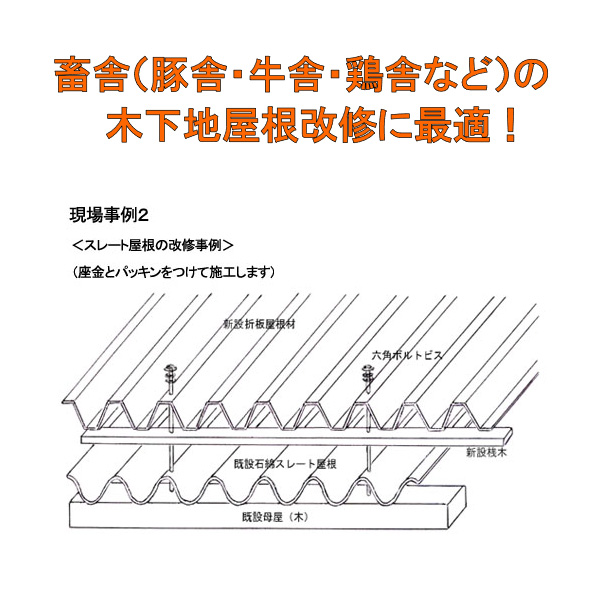 六角ボルトビス 箱入 ステンレスキャップ無 65mm 100本価格 ※取寄品