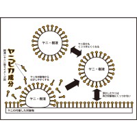 刃物専用クリーナー レザーソー ヤニピカ 詰替用 300ml 6個価格 取寄品の4枚目