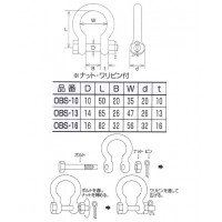 ステンレス金具 オタフクボルト止めシャックル 10個価格の2枚目