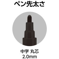 工事用 超耐久ペイントマーカー 中字 丸芯 黒 取寄品の3枚目