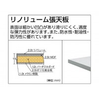 RAEM型高さ調節作業台 900×600 1段引出付※メーカー直送品 車上渡し品の3枚目