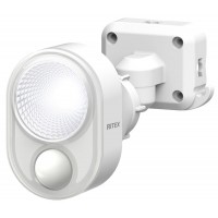 RITEX 4W×1灯 LED センサーライト 300Lm ※取寄品の1枚目