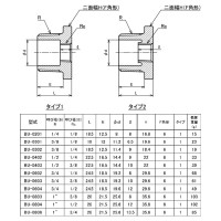 可鍛鋳鉄製 ねじ込み式白継手 ブッシング (R×Rc)1