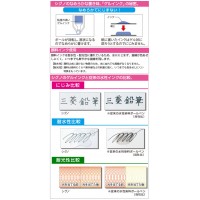 ユニボールペン シグノ RT 0.5mm エコライター UMN-105EW 青 【10本セット】 取寄品の2枚目