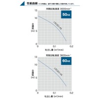 低水位排水用水中ハイスピンポンプ 非自動型 60Hz メーカー直送の3枚目